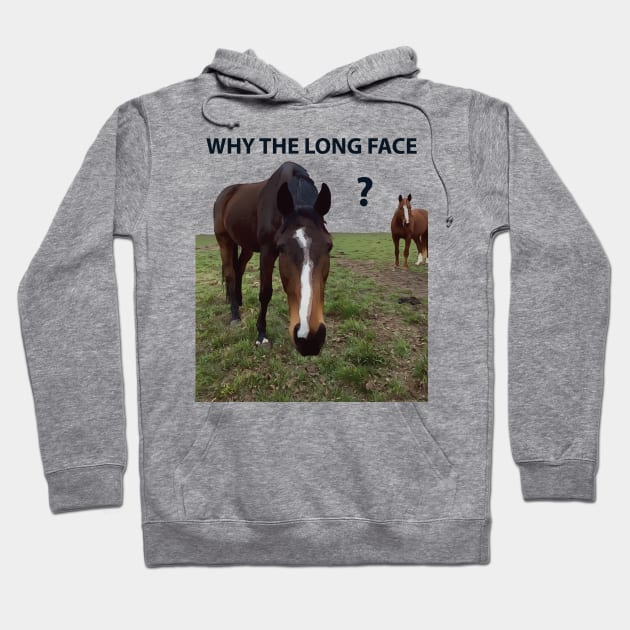 Why The Long Face? - Funny Horse Hoodie by Lakeric